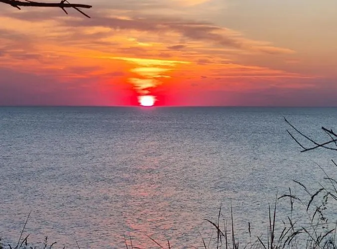 Kwiatowe Rogowo (Gryfice)