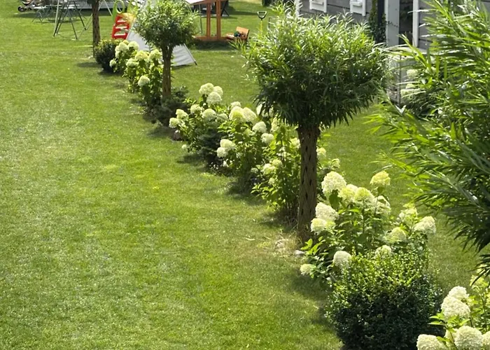 Kwiatowe Rogowo (Gryfice)